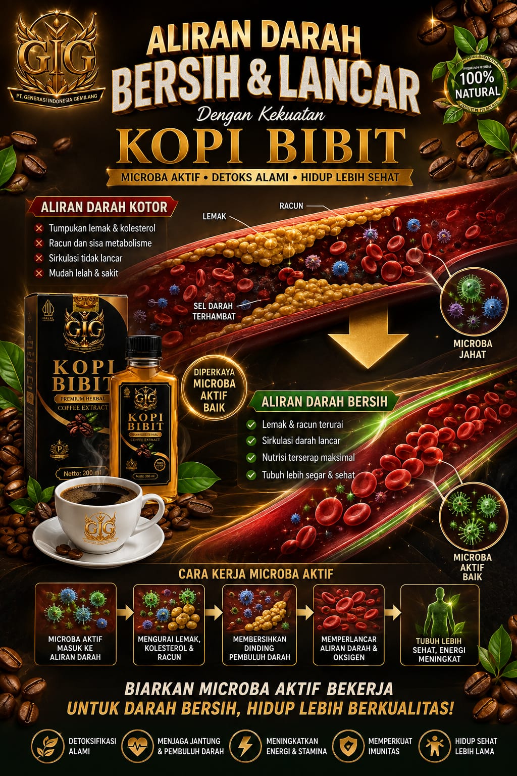 kopi bibit aliran darah lancar